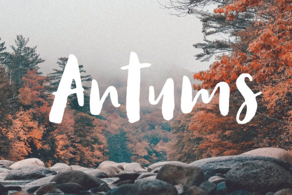 Antums: A Hand-Drawn Brush Font for Handmade Product Designers