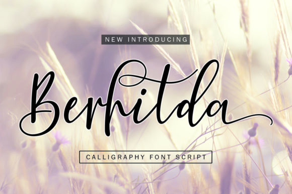 Berhilda: A Modern Calligraphy Font for Engaging Digital Campaigns