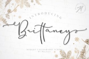 Brittaney: A Modern Typeface That Elevates Web Design Projects