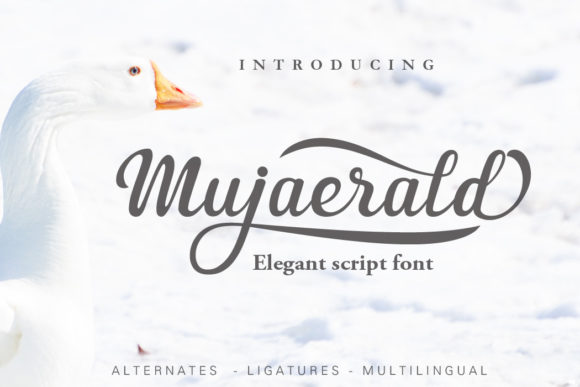 Mujaerald: The Script Font That Gave My Small Business a Brand Identity Upgrade