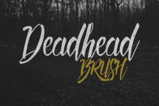 Why Deadhead Brush Is the Font Your Handmade Brand Needs