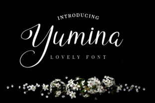 Yumina Brings a Natural Script Feel to Editorial Design